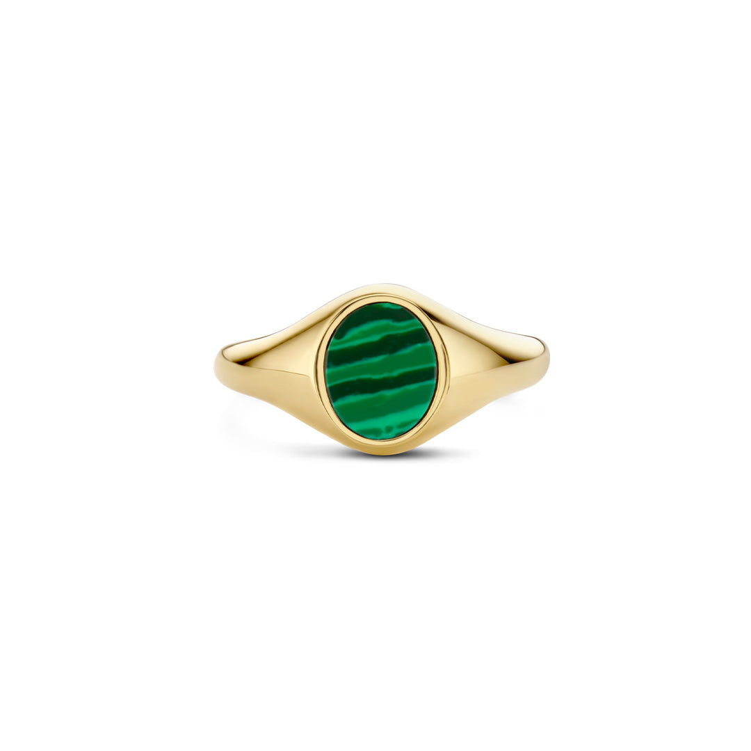 Blush - 2.1mm Malachite Signet Ring - 14kt Yellow Gold
