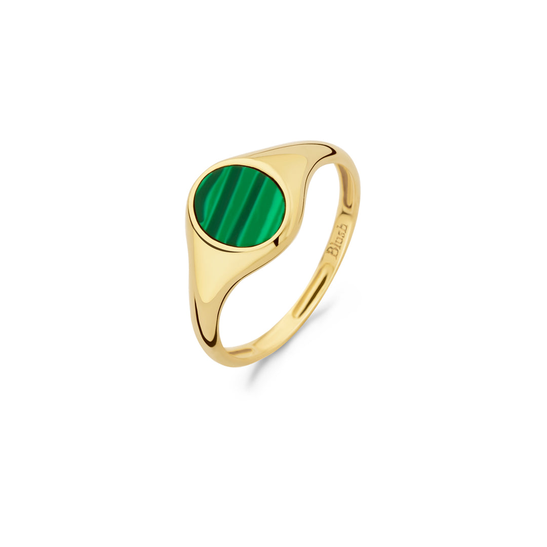 Blush - 2.1mm Malachite Signet Ring - 14kt Yellow Gold