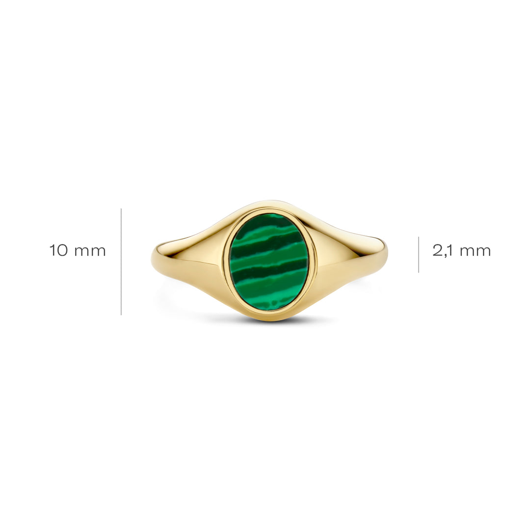 Blush - 2.1mm Malachite Signet Ring - 14kt Yellow Gold