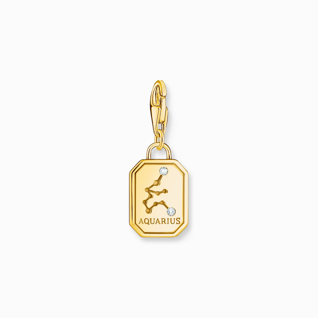 Thomas Sabo - Zodiac CZ Charm Aquarius - Gold