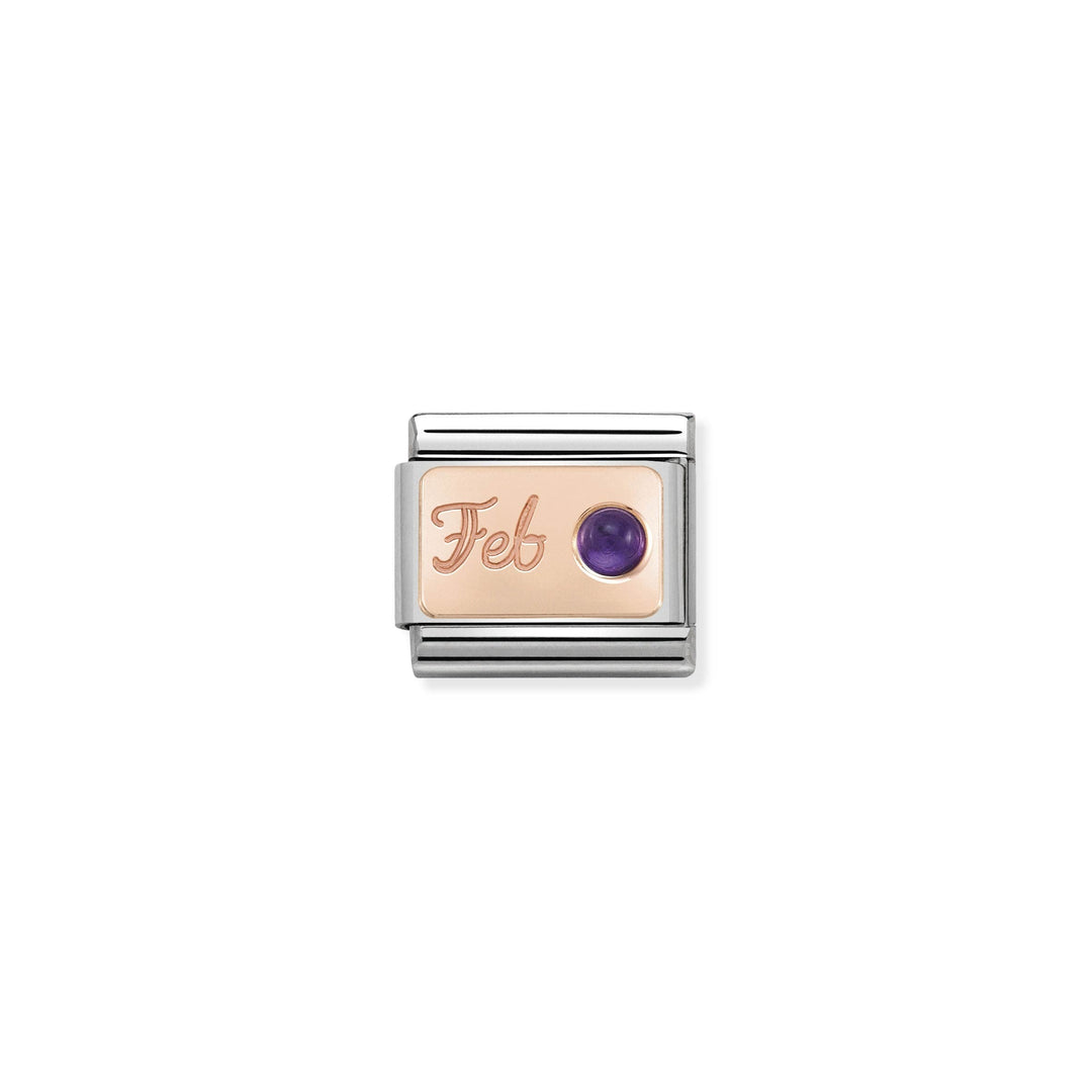 Nomination - Classic Birthstone February Amethyst Charm
