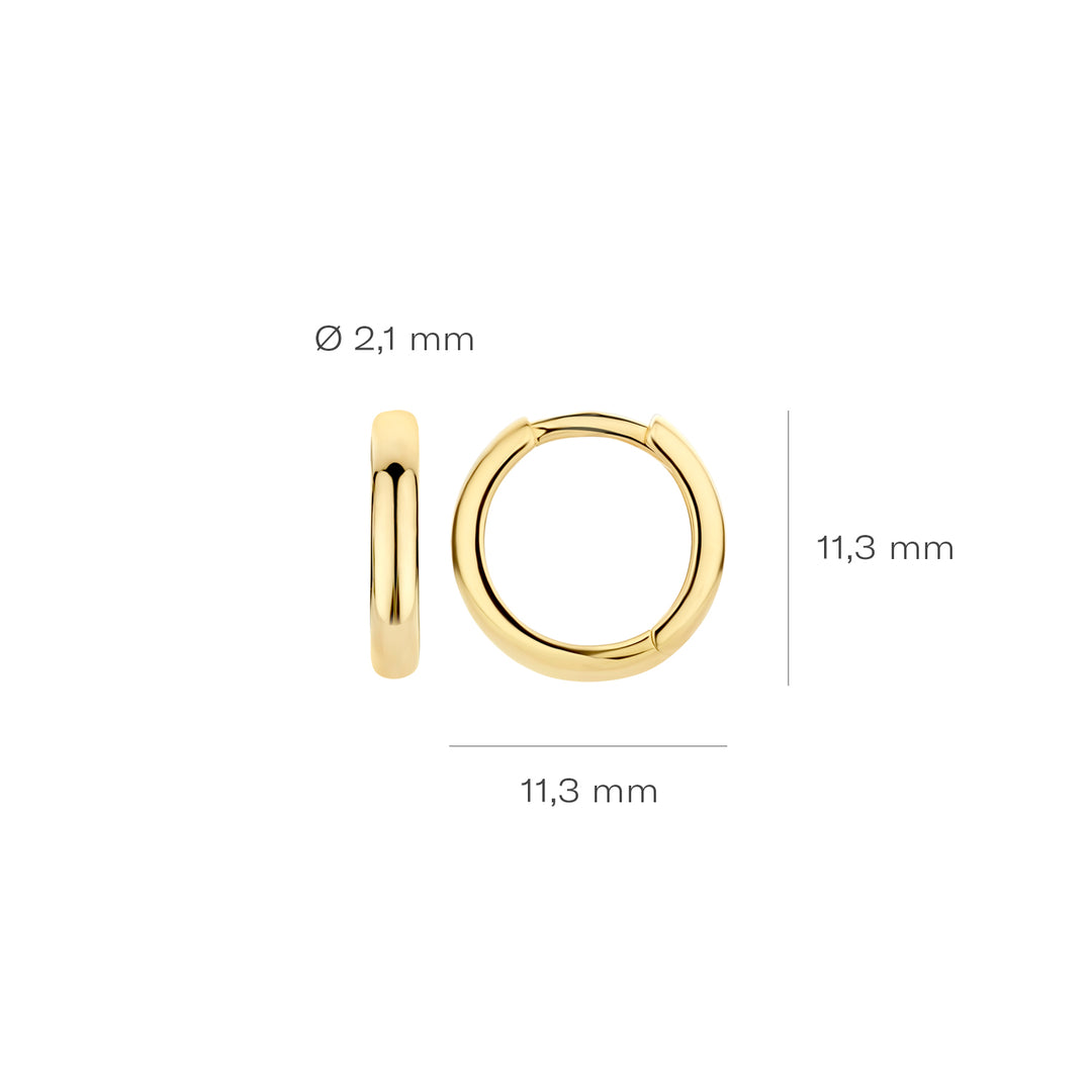 Blush - Classic Hoops - 14kt Yellow Gold