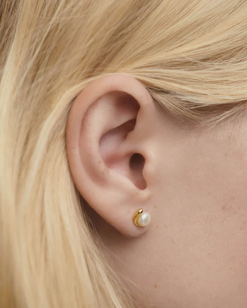 PDPAOLA - La Perla Mini Stud Earrings - Gold