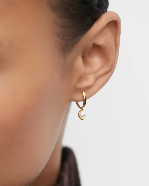 PDPAOLA - La Perla Mini Hoop Earrings - Gold