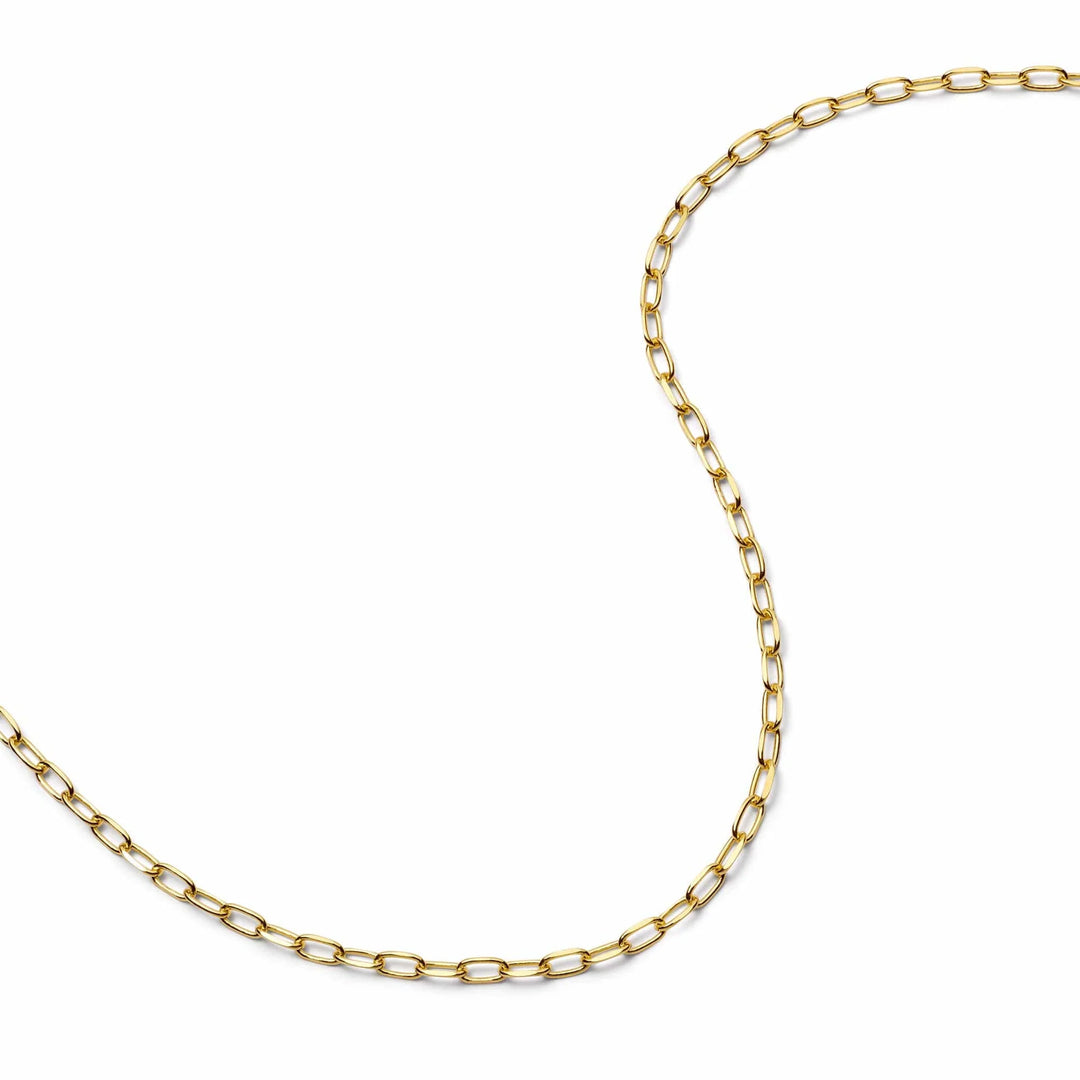 Daisy London - Light Paperclip Chain Necklace - Gold
