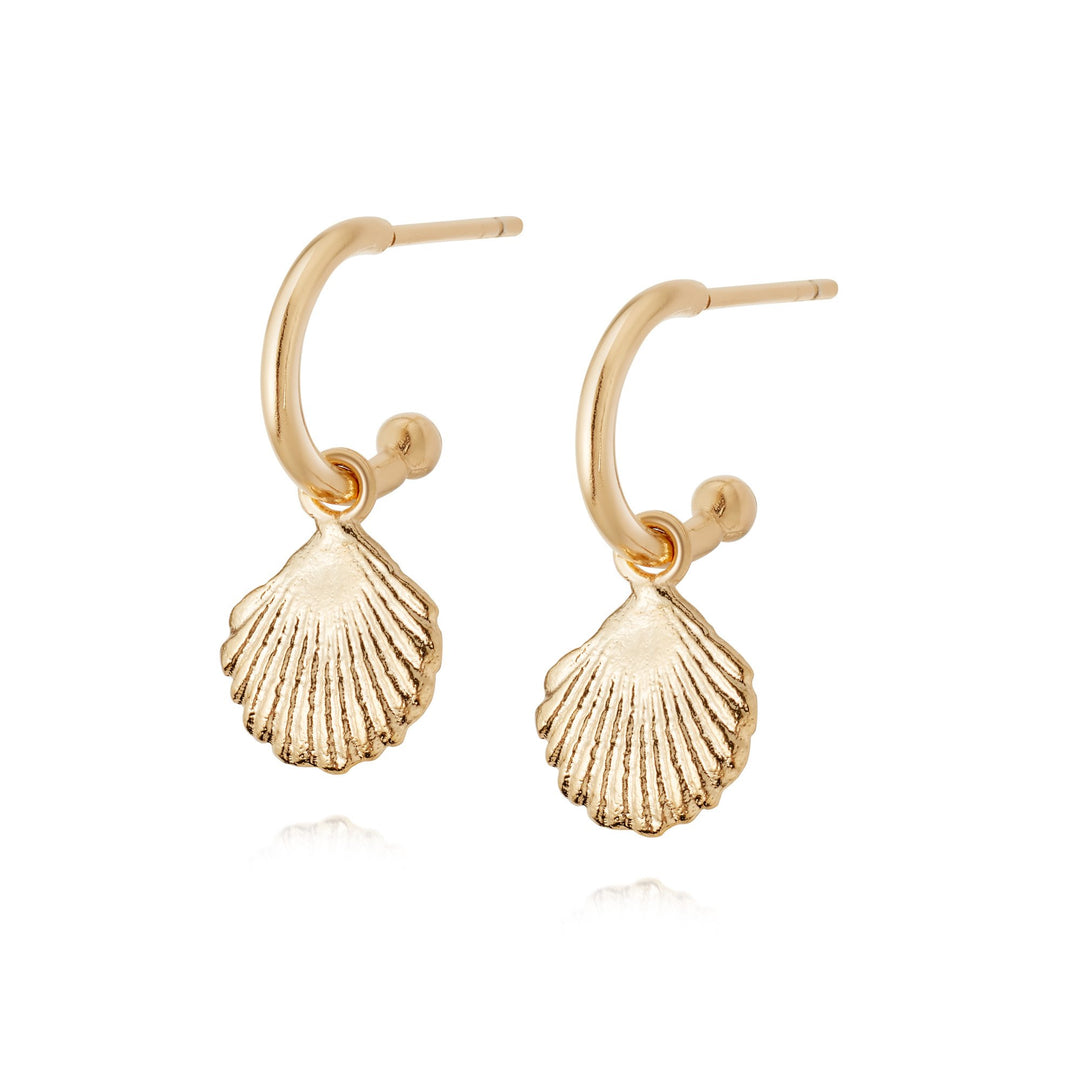 Daisy London - Shell Drop Earrings - Gold