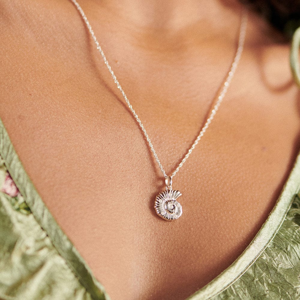 Daisy London - Pearl and Shell Pendant Necklace - Silver