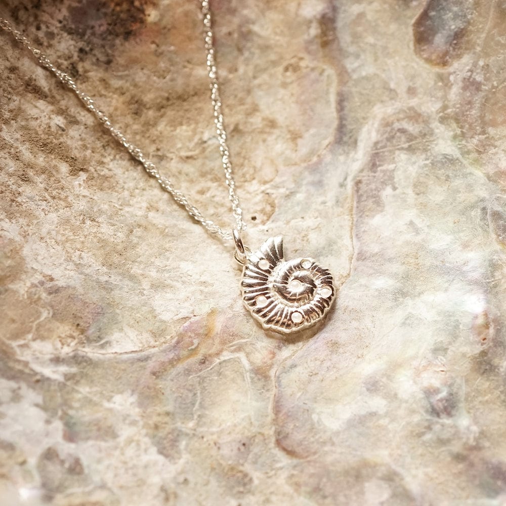 Daisy London - Pearl and Shell Pendant Necklace - Silver