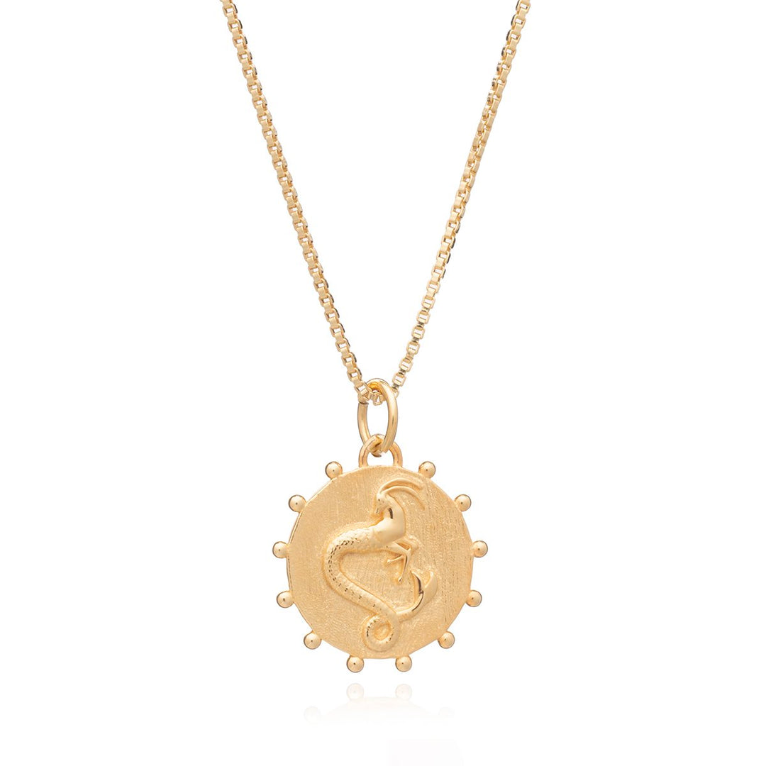 Rachel Jackson - Zodiac Art Coin Necklace Capricorn - Gold