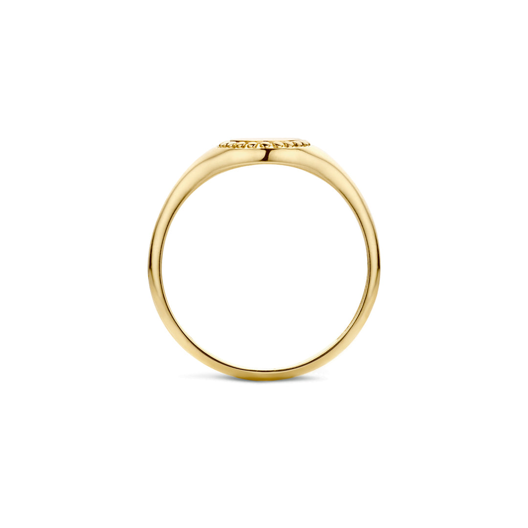 Blush - 2.1mm Signet Ring - 14kt Yellow Gold