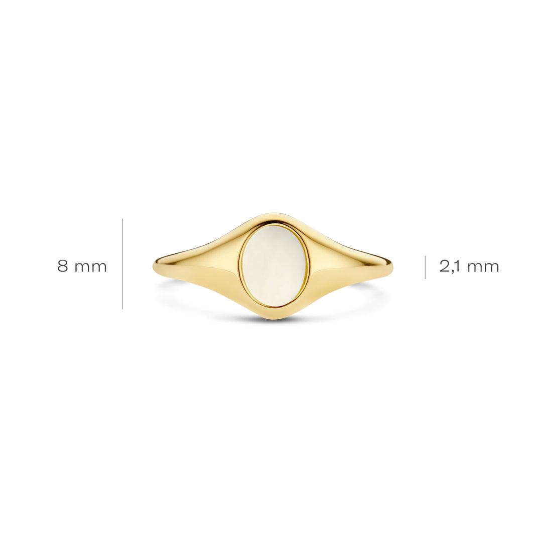 Blush - 1.4mm Mother of Pearl Signet Ring - 14kt Yellow Gold