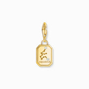 Thomas Sabo - Zodiac CZ Charm Aquarius - Gold