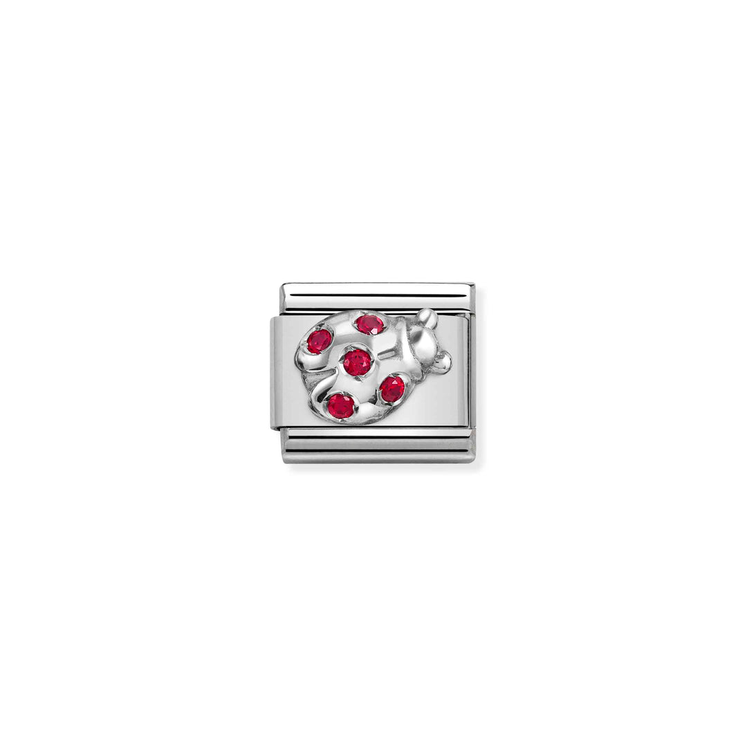 Nomination - Ladybug Charm
