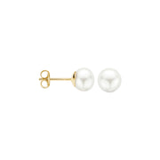 Blush - Large Pearl Earrings - 14kt Yellow Gold