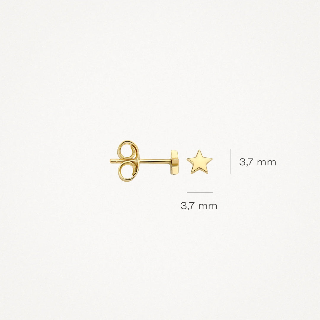 Blush - 3.7mm Star Stud Earrings - 14kt Yellow Gold