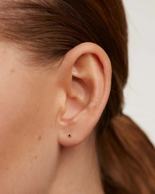 PDPAOLA - Essential Earrings Black - Gold