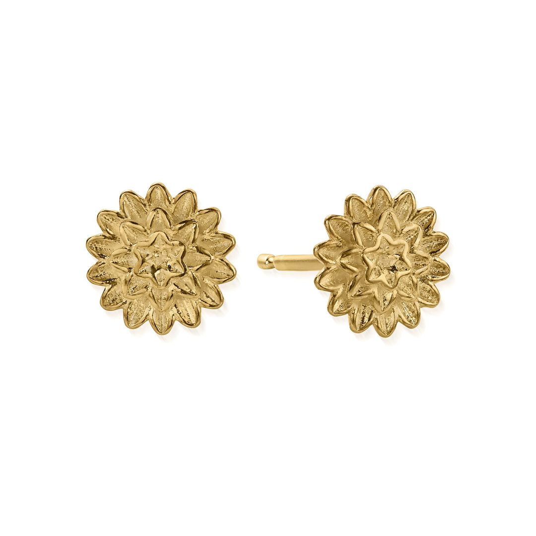 Beautiful deals earrings gold