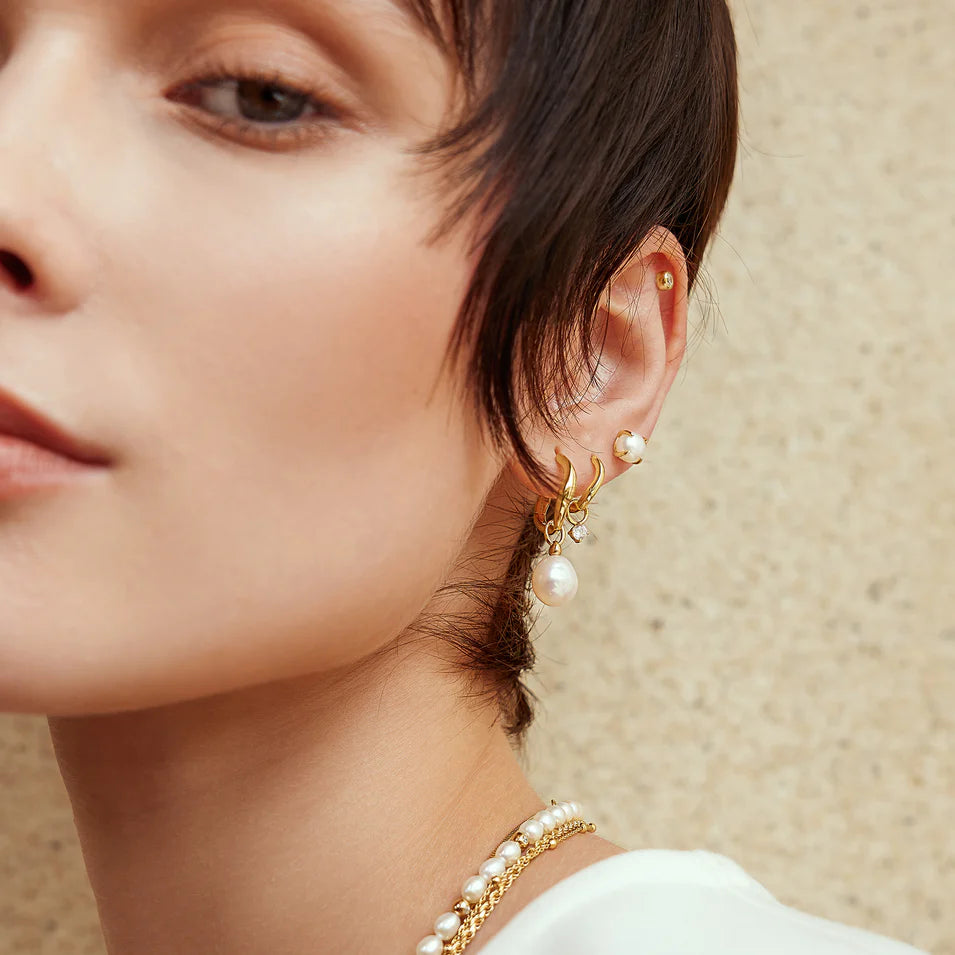Ania Haie - Freshwater Pearl Drop Hoop Earrings - Gold