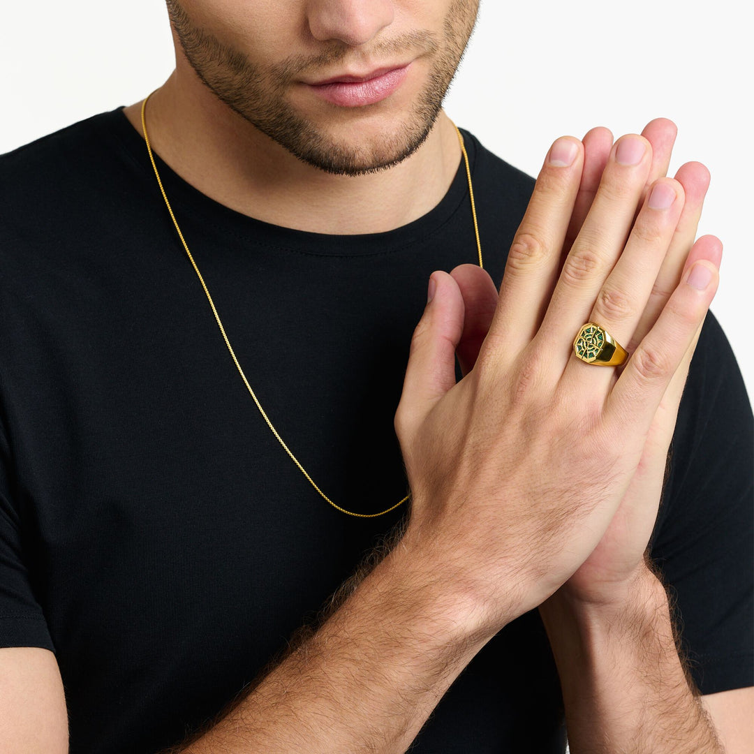 Thomas Sabo - Gold and Malachite Compass Signet Ring