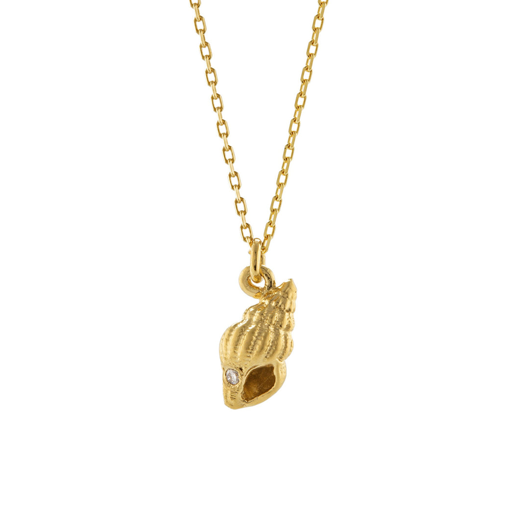 Alex Monroe - Teeny Tiny Shell Necklace - Gold
