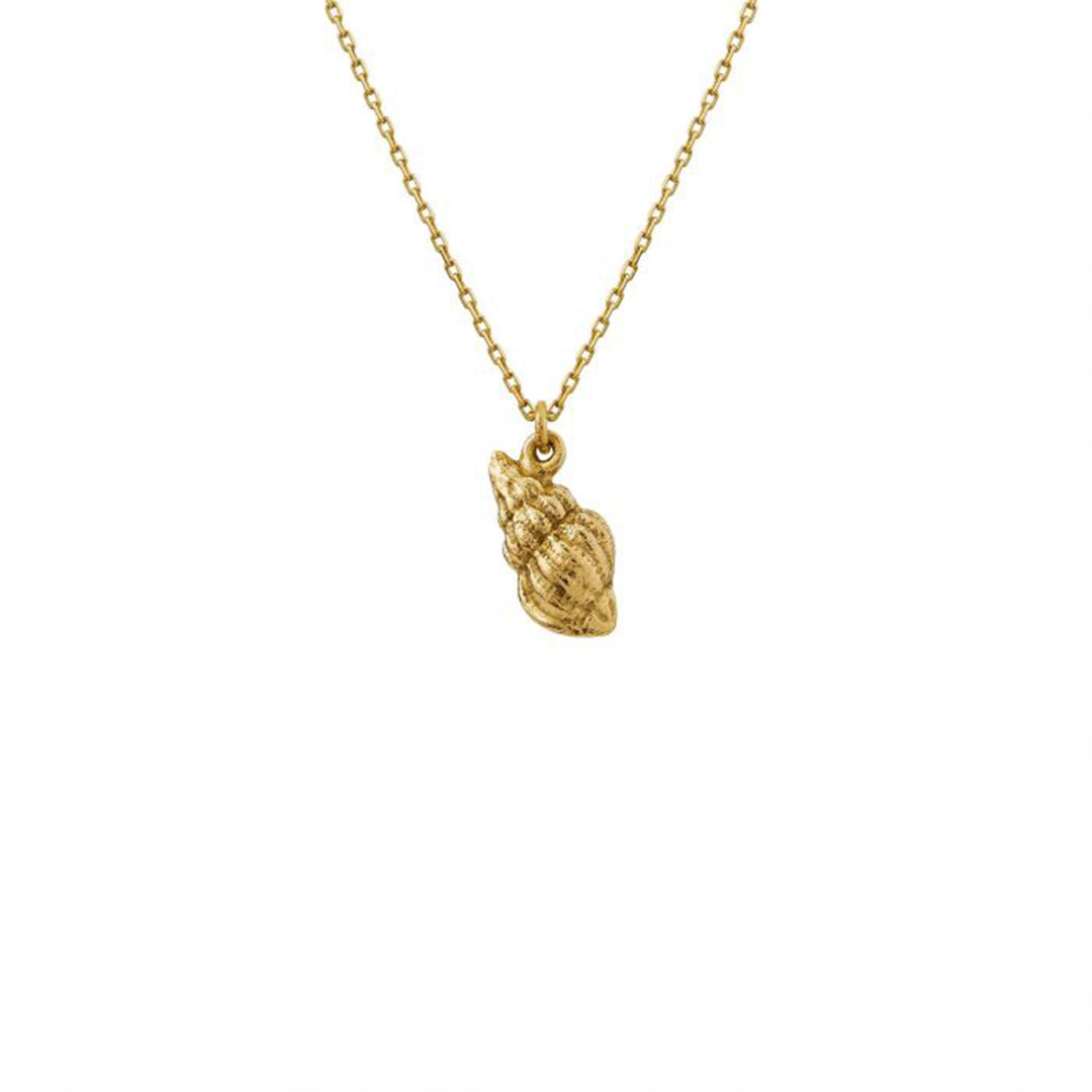 Alex Monroe - Teeny Tiny Shell Necklace - Gold